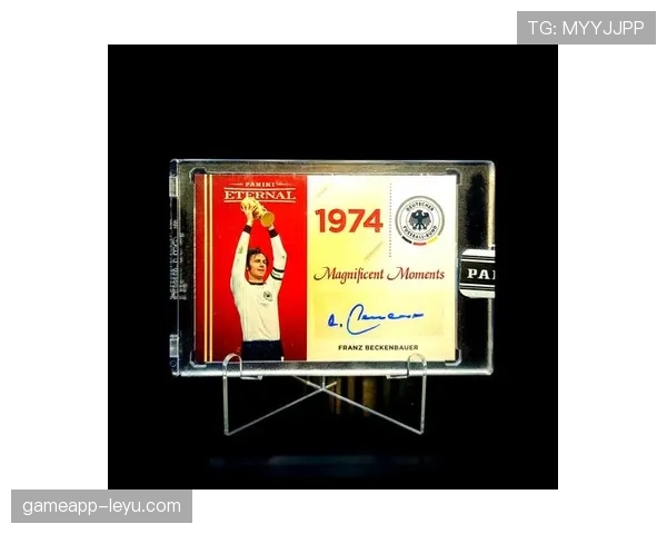 捷克队世界杯征程：从辉煌时刻到竞争力跃升的传奇之路