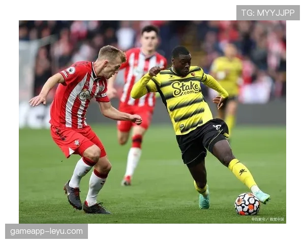 南安普顿球员状态火热,连胜势头助推球队稳步攀升 南安普顿球员状态火热,连胜势头助推球队稳步攀升