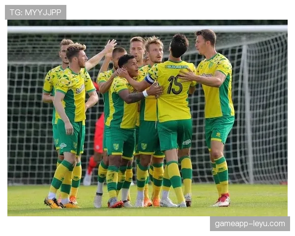 诺维奇迎新帅战术革新,状态回升剑指英冠升级 诺维奇迎新帅战术革新,状态回升剑指英冠升级