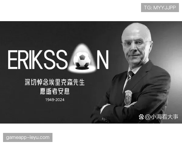 瑞典球迷黄蓝军团助威国家队，球队状态回暖引关注