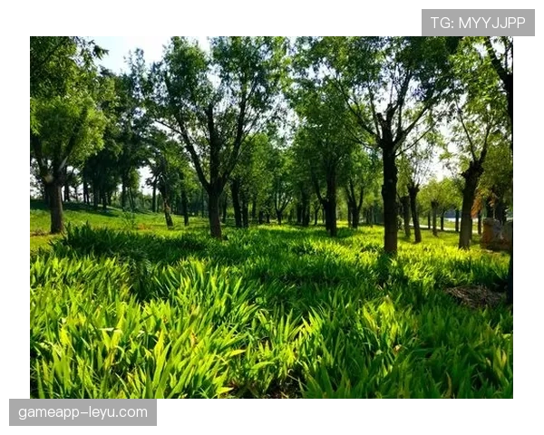 戴维斯边路进攻势如破竹，球队未来表现引人期待